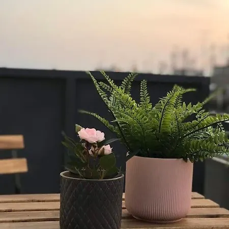 Apartment Lovely Studio Rooftop Nest *